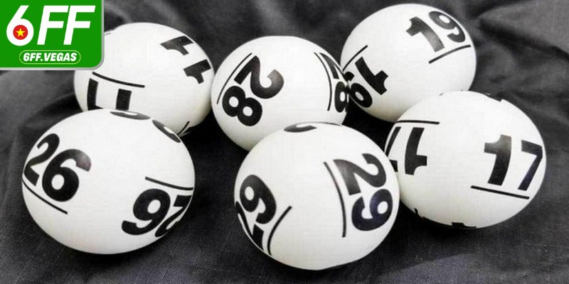 Nuôi lô khung trong 3 ngày là một chiến lược phổ biến hiện nay