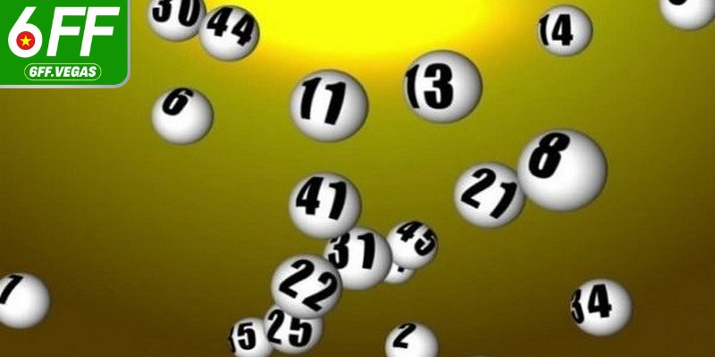 Phương pháp nuôi lô khung trong 7 ngày là chiến lược hiệu quả